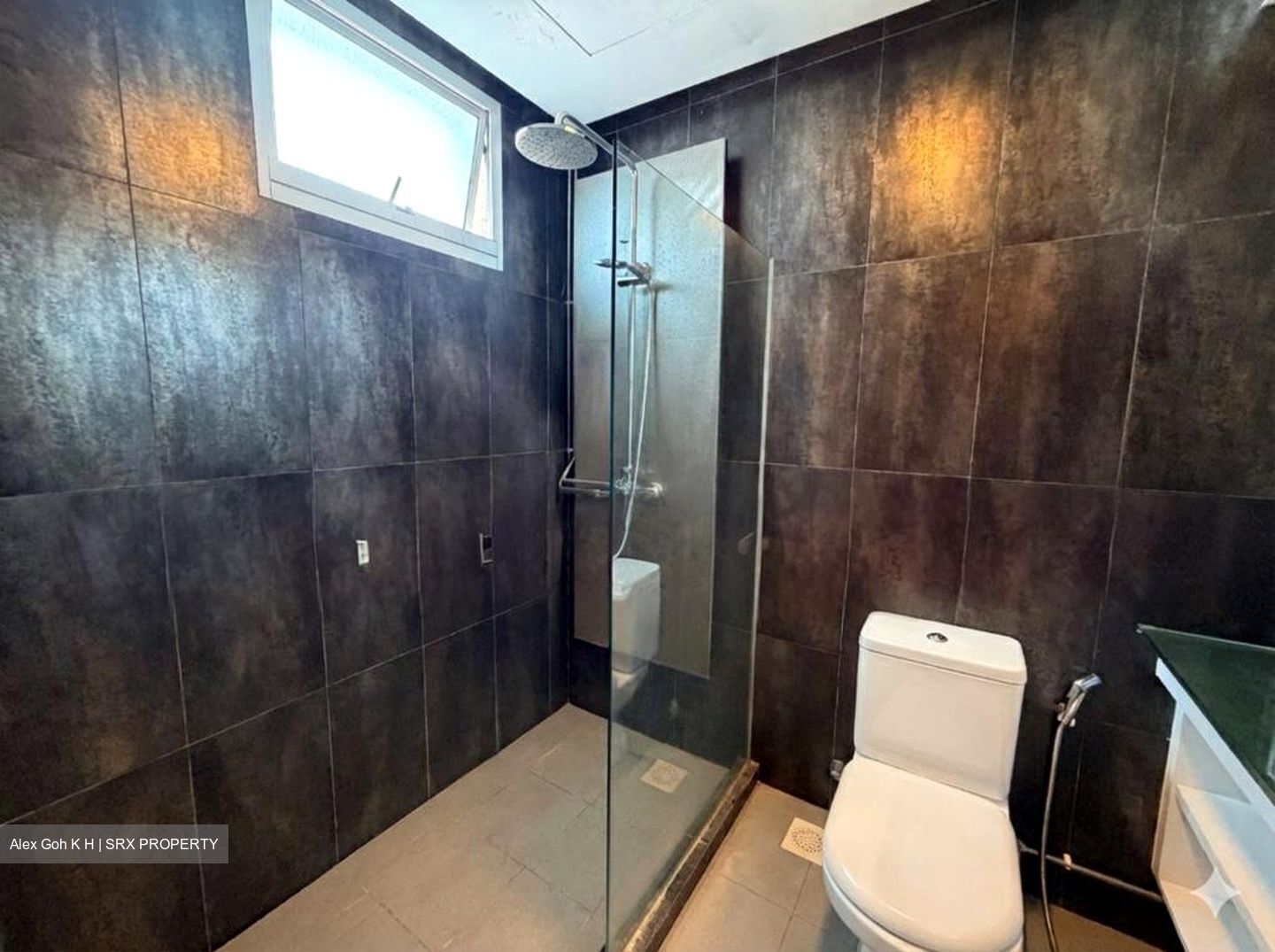 Parkshore (D15), Condominium #527436621